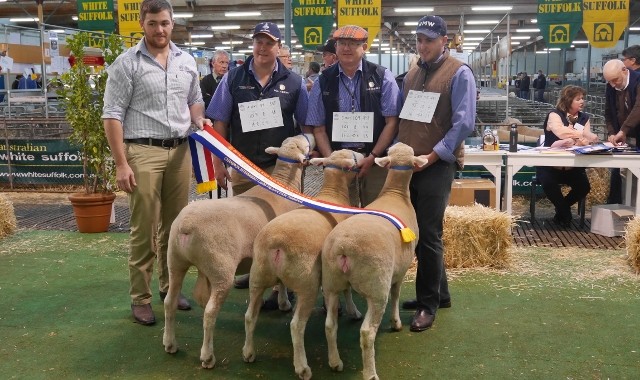 2015 Adelaide Show Interbreed Maternal Group Newbold